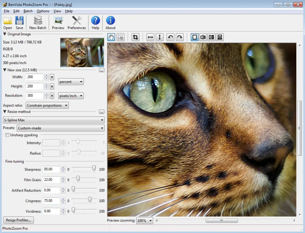 PhotoZoomPro_8.1 破解版