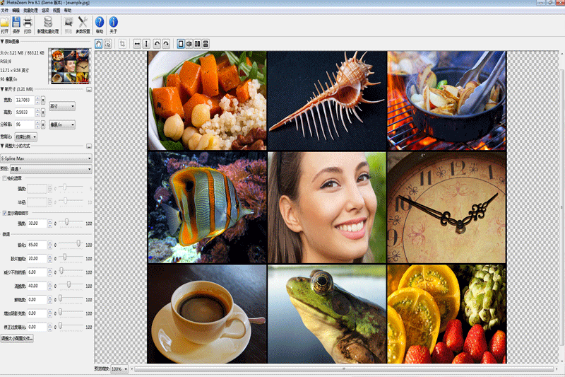 PhotoZoomPro_8.1 破解版